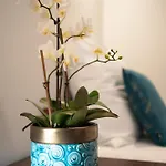 Goscinne Irga Apartment