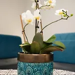 Goscinne Irga Apartment