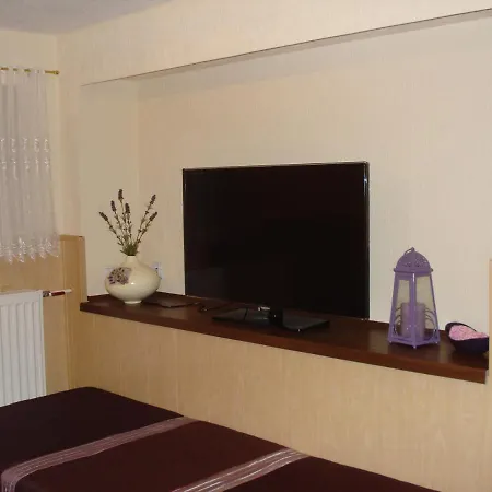 Apartment Goscinne Irga *