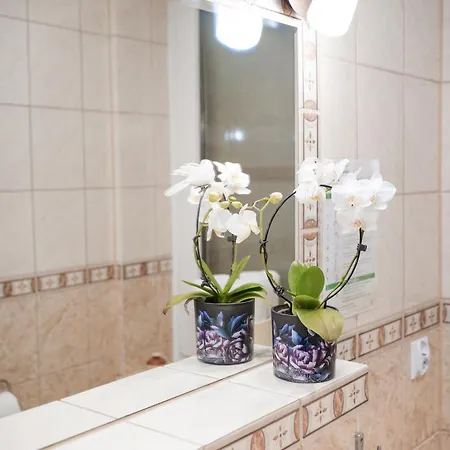 Goscinne Irga Starogard Gdanski