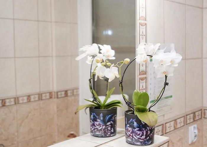 Goscinne Irga Starogard Gdański