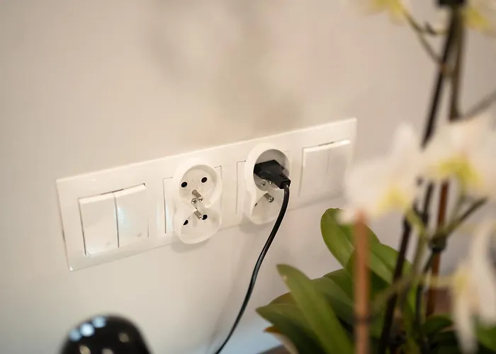 Goscinne Irga Starogard Gdański