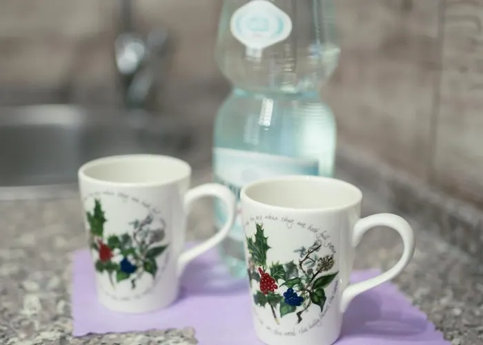 Goscinne Irga Appartamento *